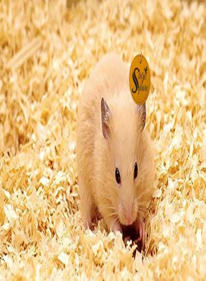 سايج سكوير 1 كجم من نشارة الخشب الطبيعية كفرش للهامستر، والجرذان القزمة، والفئران، والجربوع، والأرانب، وخنازير غينيا - Image 2